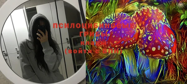 мдпв Алзамай