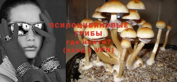 mix Алексин