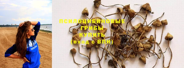 mix Алексин