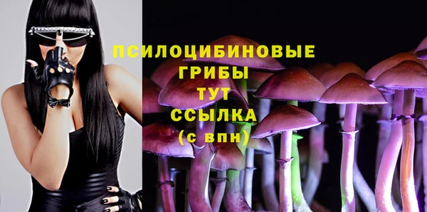 mix Алексин