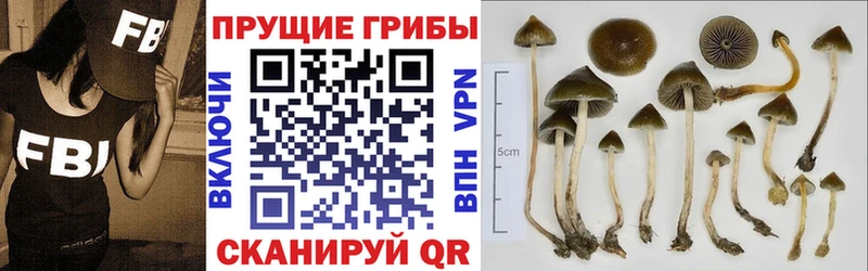 блэк спрут   даркнет наркотические препараты  Псилоцибиновые грибы GOLDEN TEACHER  Звенигово 